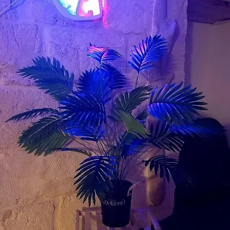 Appartement Archi Barbacana *