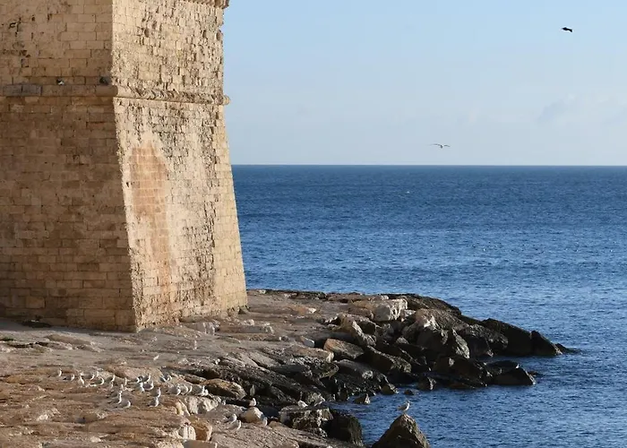 Archi Barbacana