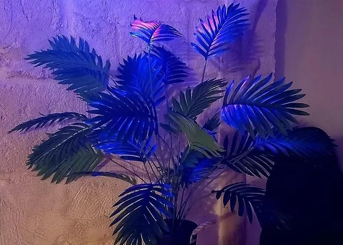 Apartman Archi Barbacana *